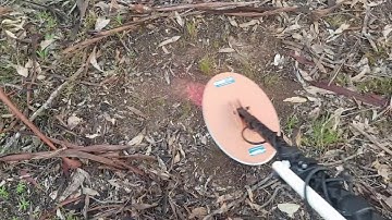 SDC2300 standard 8" coil V Coiltek Gold Extreme 14x9" coil