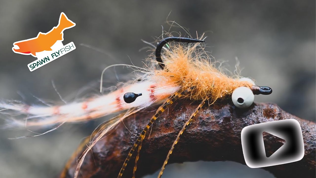 Bonefish Flies - Mantis Shrimp Fly Pattern  Fly fishing, Fishing guide,  Saltwater flies