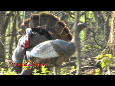 Blood Brothers Tv - Spencer Halford Turkey Hunt