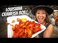 DAY IN THE LIFE OF A LOUISIANA CRAWFISH FARMER (this is where crawfish come from)