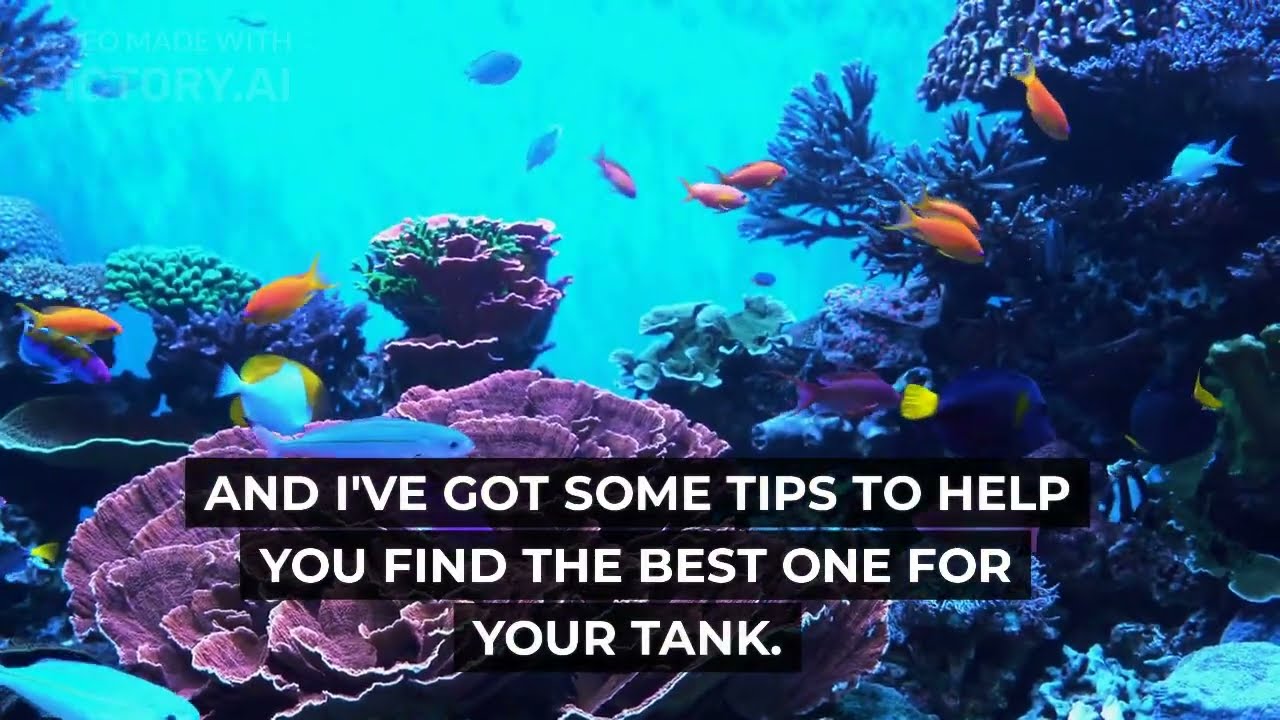 How to Choose Aquarium Filters