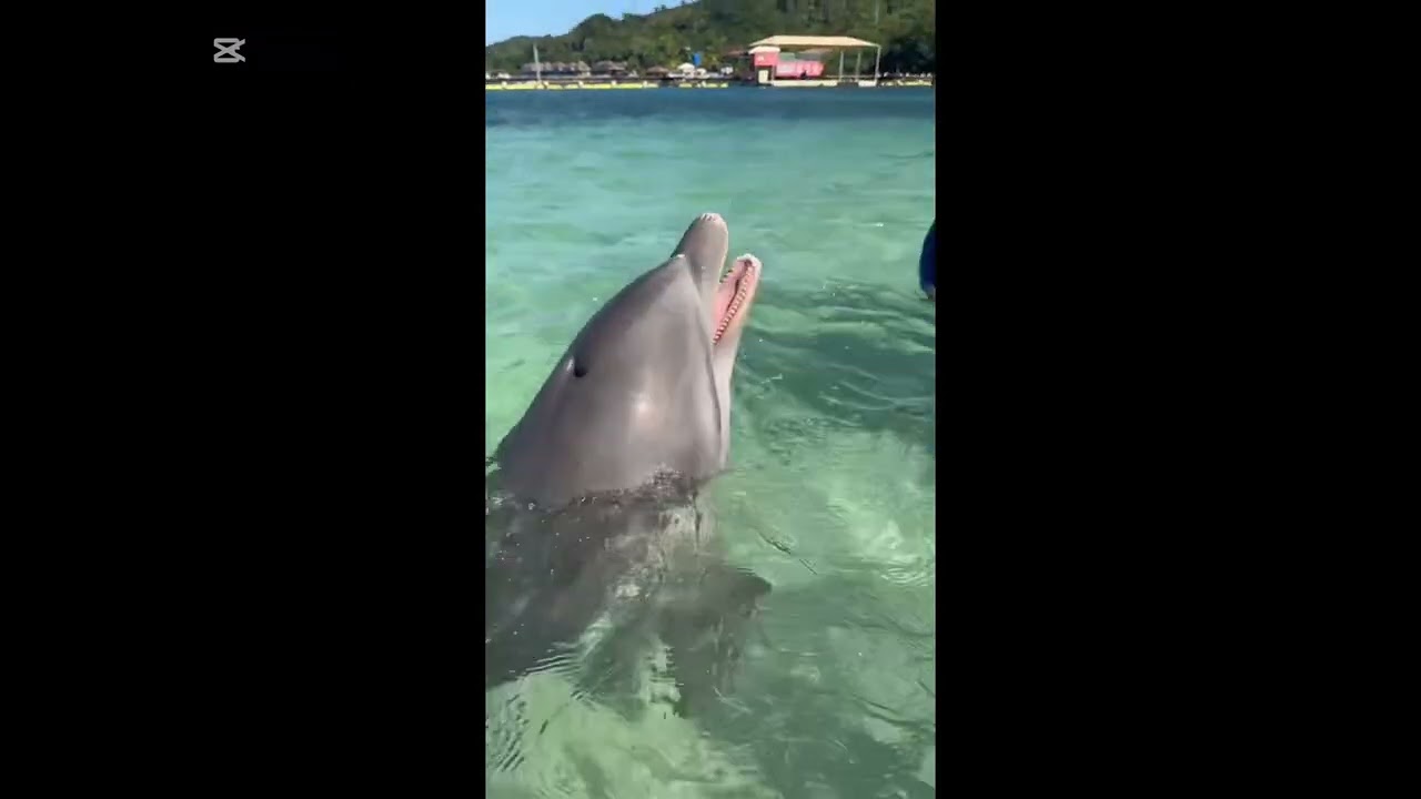 Activity 10 - Forum: Last vacations audio - Suany Andrade 