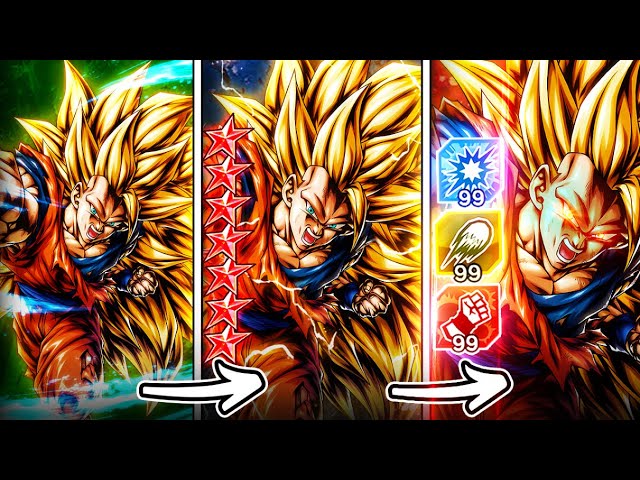 THE FULL EVOLUTION OF LF DRAGON FIST! DAY 1 TO 14* FULLY BOOSTED COMPILATION! | Dragon Ball Legends