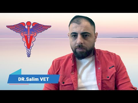 مرض البروسيلا أو الحمى المالطية