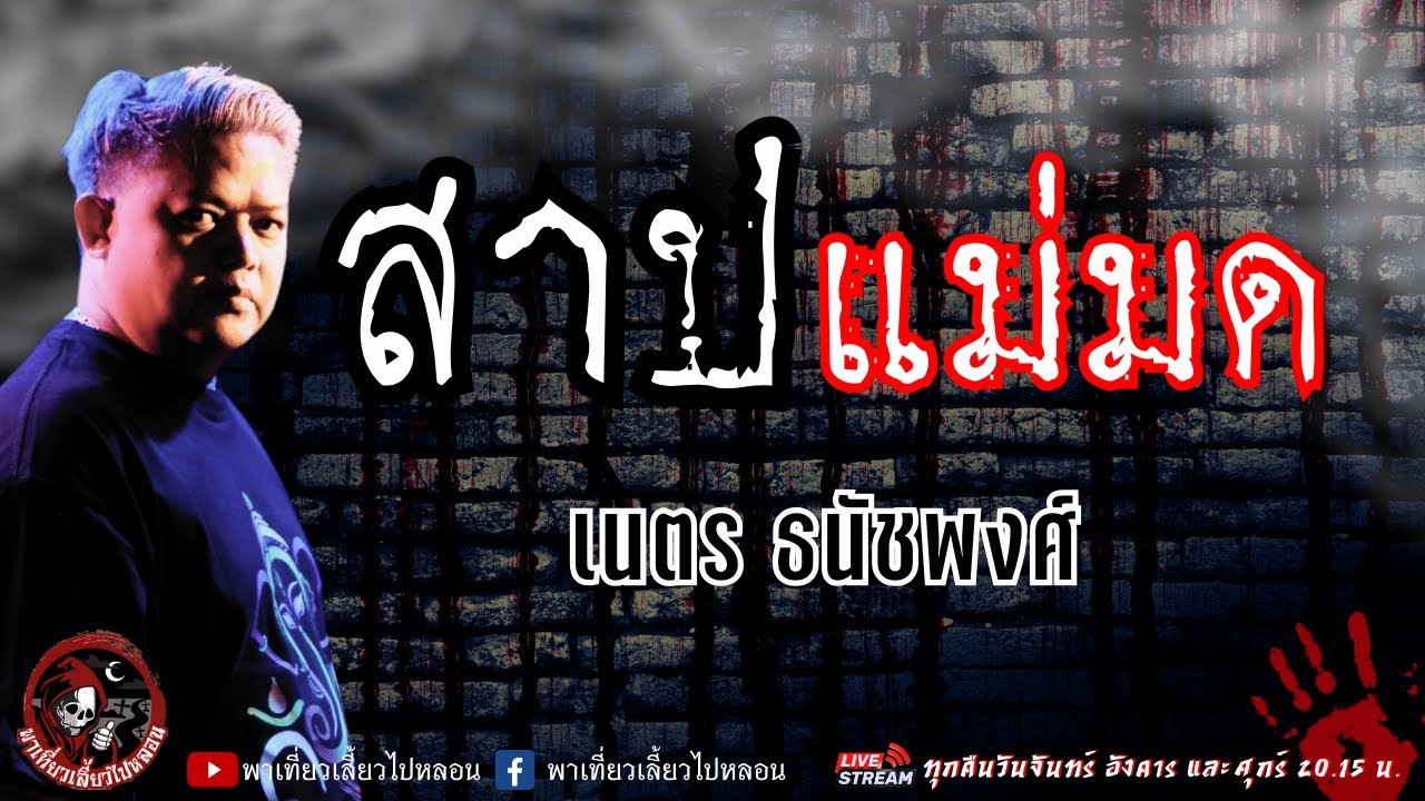เรื่อง สาปแม่มด  - เนตร ธนัชพงศ์