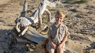 Owen&#39;s Wildlife Adventures - Owen&#39;s story