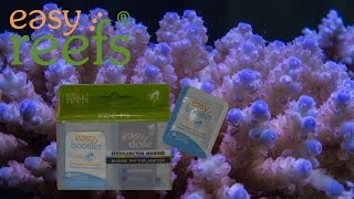 Easy Reefs-Easy Booster Phytoplankton Gel