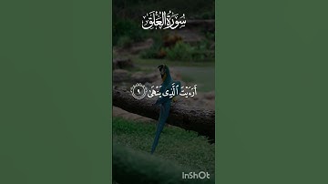 كَلَّاۤ إِنَّ ٱلۡإِنسَـٰنَ لَیَطۡغَىٰۤ|المنشاوي|سورة العلق.