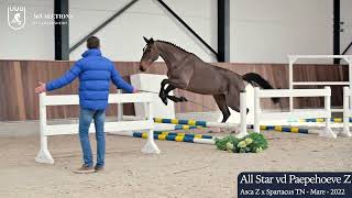 All Star vd Paepehoeve Z