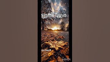#سورة_الشرح#القارئ _سعد_الغامدي#القرآن_الكريم #اكسبلور#المصحف #الرحمن#تيك_توك #دعاء_مستجاب#مصر#ترند