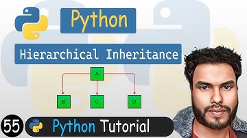 55 - Hierarchical Inheritance in Python | Python Tutorial