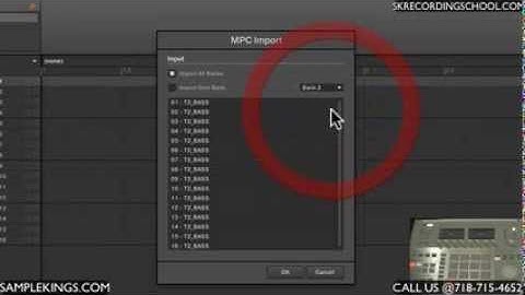 Maschine Studio DVDs: Import MPC Programs with samples.