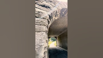 the tunnel #shorts #video