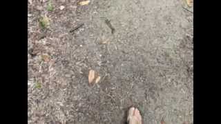 Me Discovering Perhentian Islands Meijun12