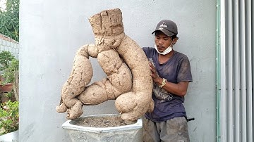 Cóc chua khủng dáng chữ nhân(X) siêu hiếm lh 0795050333