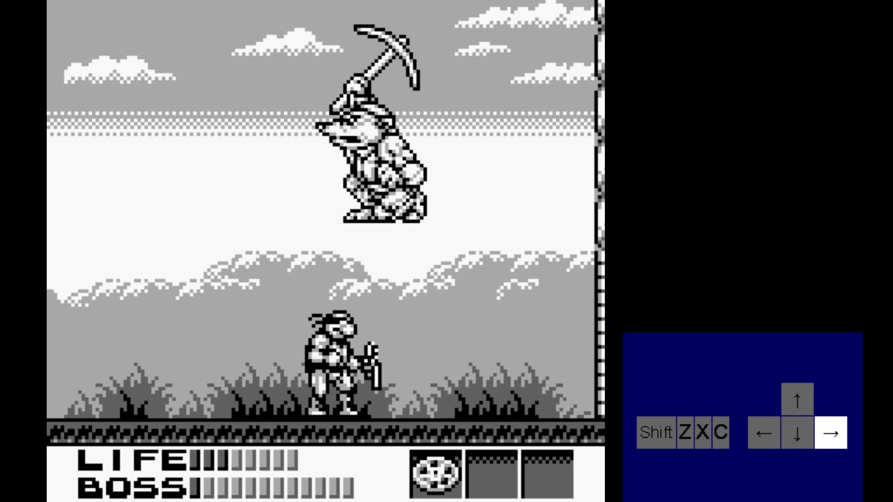 Teenage Mutant Ninja Turtles III:Radical Rescue