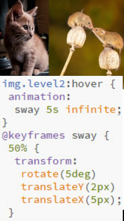 CSS sway