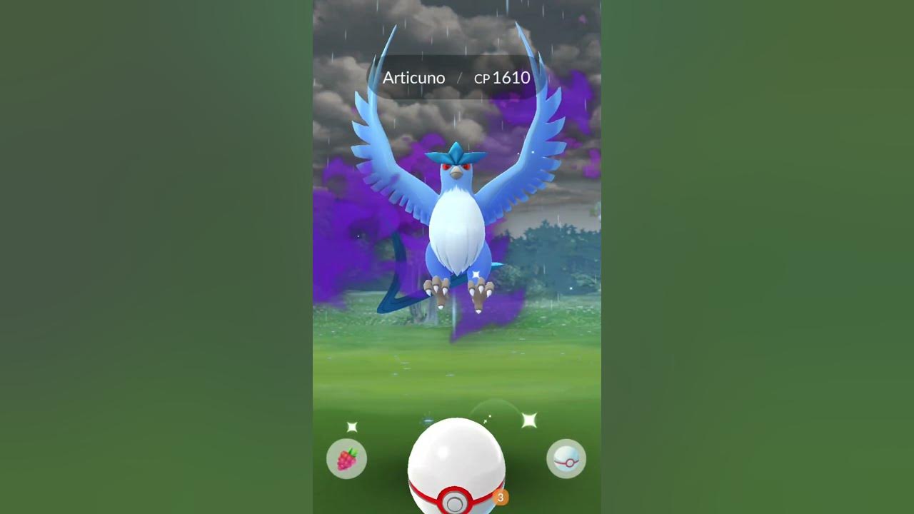 First Time Shadow Shiny Articuno in Pokemon Go 