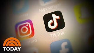 Microsoft In Talks To Buy Tiktok As Trump Threatens To Ban The Popular App Today