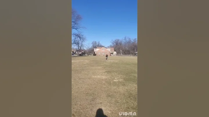 IVY CHASE AND ATTACKS A MAN