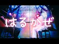Jinis - はるかぜ(Live at 2025年3月20日「共犯者 Episode.2」)