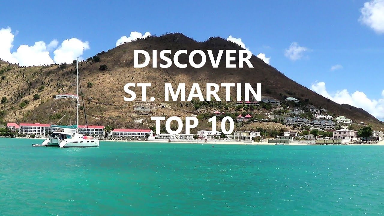 ST.MARTIN 2014 DARWIN 【公式通販】
