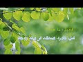 خالد الراشد حور الجنان