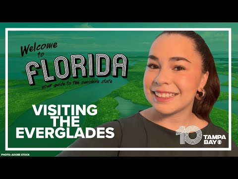 Planning a trip to the Everglades? Here’s what you need to know