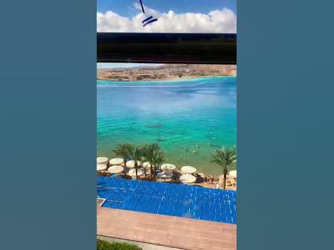 Бухта Эль-Майя. Шарм-эль-Шейх. Отель Albatros Sharm. #redsea # ...