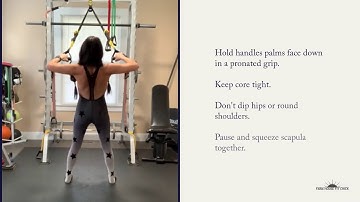 Back Exercises - TRX Low Row & High Row