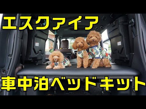 DIY一切なしで快適車中泊！【車中泊用ベッドキット