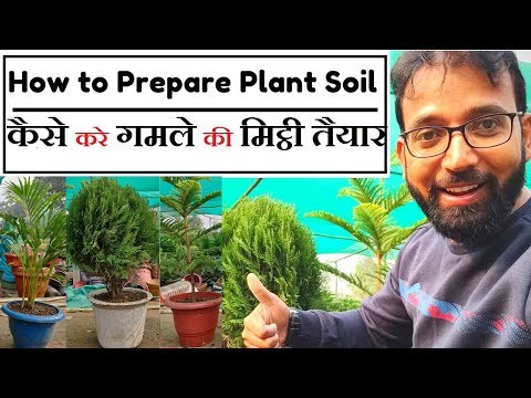 Garden Nursery Plants | Plant and Tree Nursery