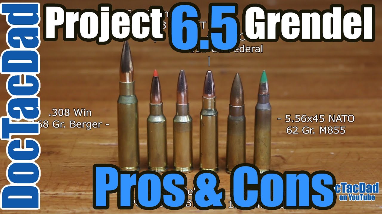 6.5 grendel, 6.8 spc, 6.5mm Grendel, Project, .308 win, .223, 5.56, 300...