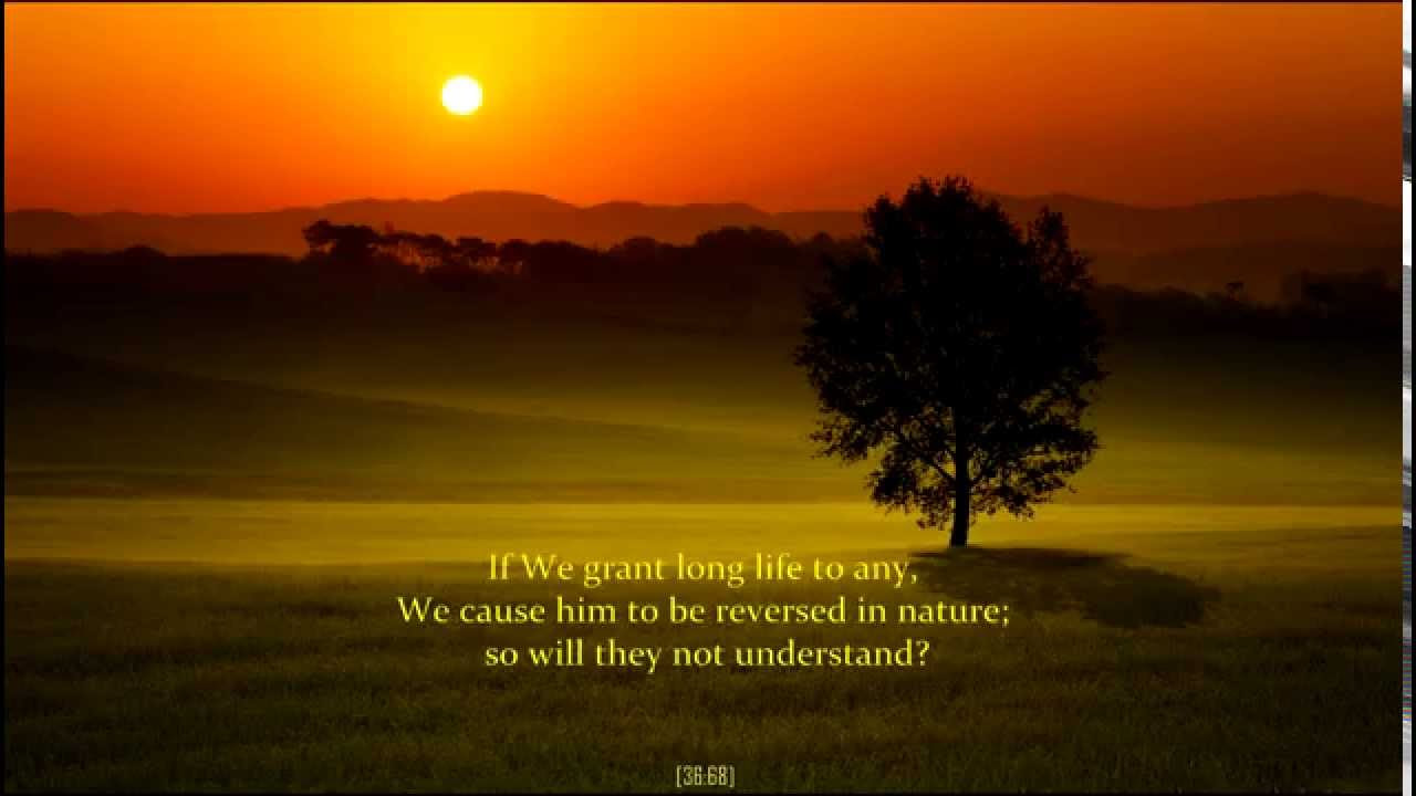 Surah Ya-Seen - Mu'ayyid al-Mazen [Eng trans]