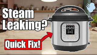 Instant Pot Duo Sealing Ring Missing Fix It Fast!