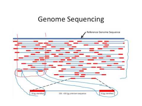 genome seq alignment consensus