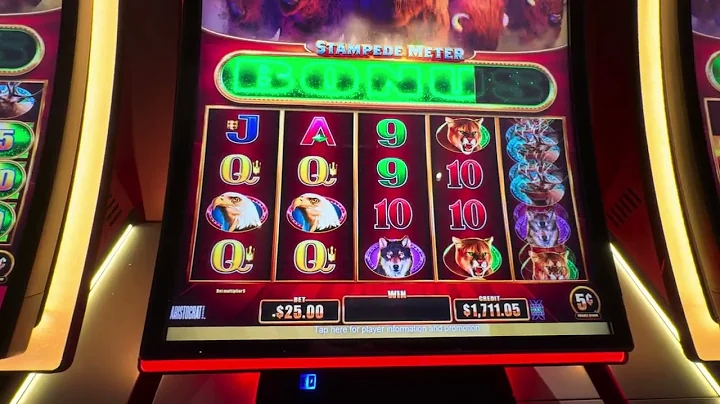 Buffalo Ultimate Stampede  $25.00 let’s see what we can do! Win or Lose! @hardrocktampa