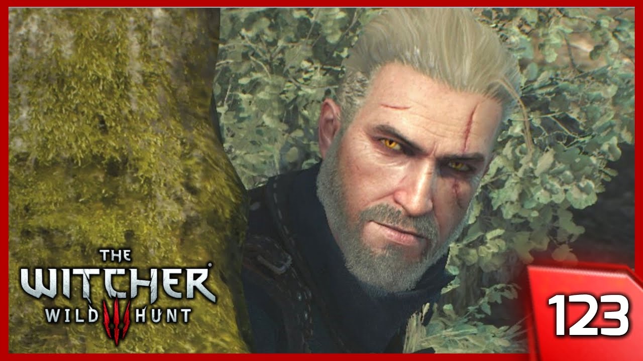 Witcher 3 ► The Lord of Undvik - The Troll Riddle - Story & Gameplay #123 [PC]