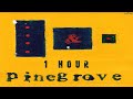 Pinegrove - Need 2 (1 Hour)