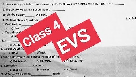 EVS Class 4 sample Paper September 2023 #pseb #solved #cbse #pseb #samplepaper #class4