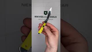 Case Mini CopperLock 20034 Smooth Yellow Bone 61749L SS, pocket