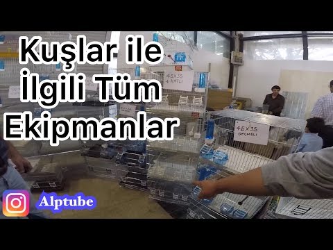 Kafes Fiyatları Kuş
