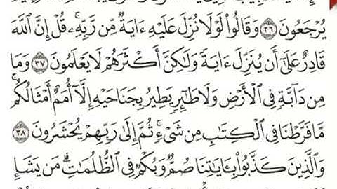 تصحيح تلاوة الأخ محمد النعمان الشيخ عثمان بصوت الأخ المجاز بسّام السباعي.