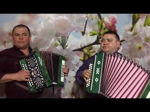 Татарские под гармошку слушать. Татарский гармонист. Татарские гармонисты любители. Абага чэчэге фото
