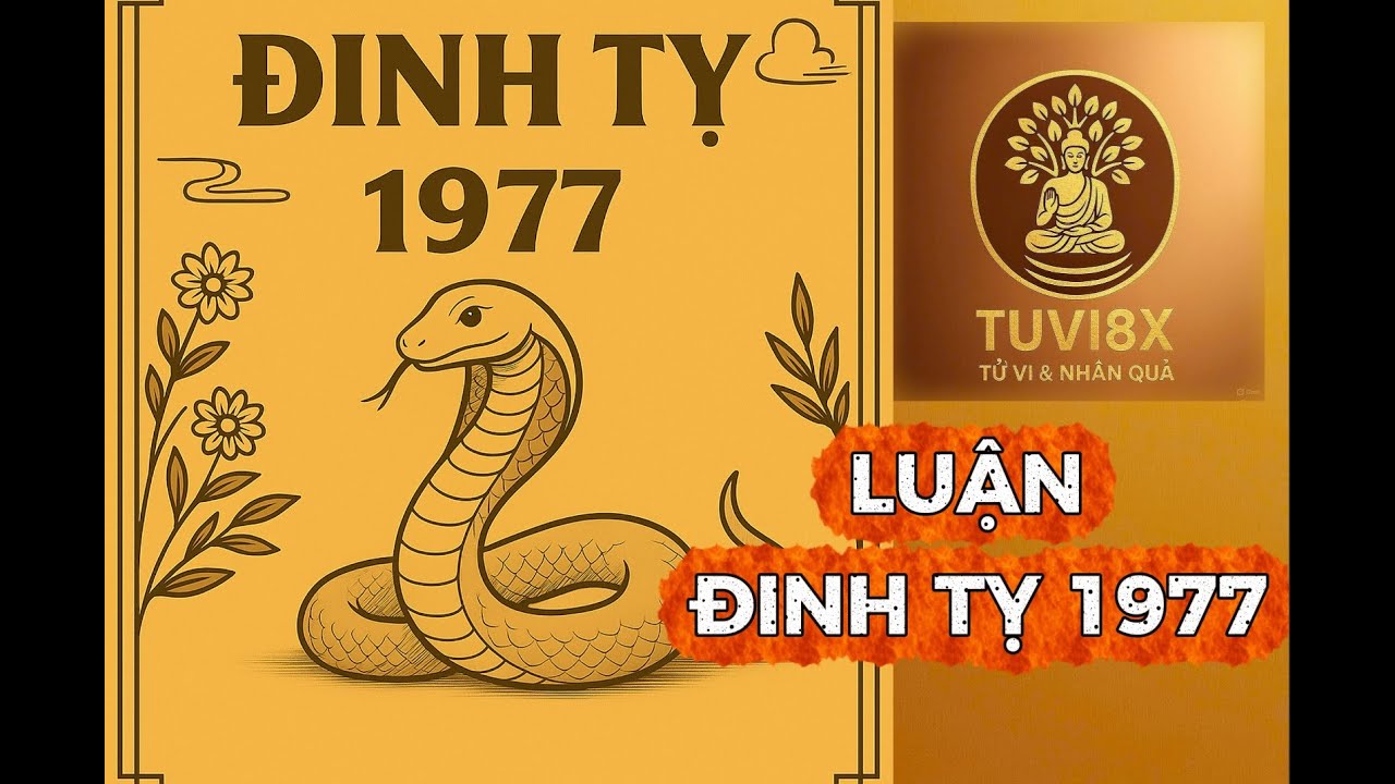 Đinh Tỵ 1977 – Người khổ nửa đời, nhưng phúc dày về sau.