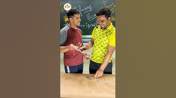 science experiment| magic of science| balance of nail #shorts #science #fipphysics #sunnysir #fun