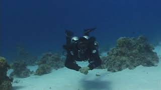 (5thD-X) Essentials Of Technical Diving (Stages - Proper Trim With Doubles And One Deco Bottle)