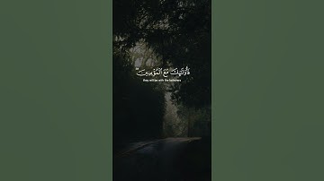 سورة النساء الآية 145
