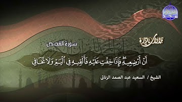 مقطع مبهر للشيخ السعيد عبدالصمد الزناتي || من سورة القصص HD