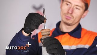 Como trocar amortecedores traseiros VW LUPO TUTORIAL | AUTODOC